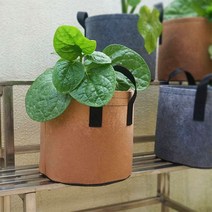 부직포 화분 베란다 텃밭 대파 키우기 10갤런 40x30, 2화분10갤런-그레이