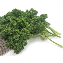 야채왕 파슬리 300g