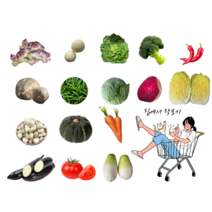 지구별장터 야채 소량 골라 담기 농산물 소포장 꾸러미 장보기, 깐마늘(중)500g, 1개