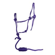 동굴 여행 승마 장비 붉은 말 고삐 푸른 선도 로프 보라색, 자주색