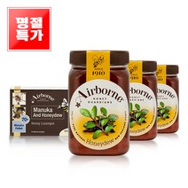 [추석특가] 에어본 허니듀허니 목청꿀 500gX3 + 로렌지 명절세트