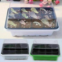 다육이 모종판 씨앗발아 번식 화분늘리기, 다육이모종판