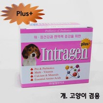 강아지 장염 면역력증강 장영양제 대형견 말티즈 소형견 애견 소취 묽은변 응가 반려견 똥냄새