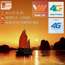베트남유심 비엣텔 모비폰 베트남모바일 4G LTE & 3G, 1개, 비나폰(윈텔) 5일 데이터 무제한 + 택배