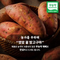 [이벤트특가] 무농약 영암 세척 꿀고구마 3kg 5kg 10kg, 5kg 대