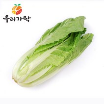 [우리가락] 얼갈이배추 4kg 한박스, 상세 설명 참조