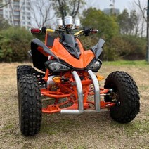 ATV 만능 마실 농업 자동차 4륜 오프로드 오토바이 모든 지형 산악 해변 오토바이 250cc 국경 간 소스, 사륜오토바이