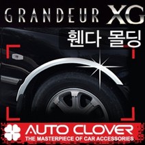그랜저XG(2001~2004) 오토크로바 휀다몰딩