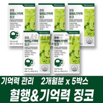 플라보놀 배당체 은행잎 추출물 혈행 기억력 관리 징코 비타민B군 비군 셀렌 아연, 60정, 5개