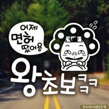 자동차스티커 어제면허땄어용 왕초보 반사시트지, 상세페이지 참조
