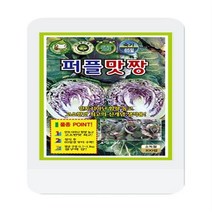 퍼플맛짱양배추씨 100립 양배추 씨앗 대장 KS종묘
