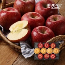 사과배혼합 과일 선물세트 사과6과+배4과, 01.[과수원길]사과6과+배4과 총3.5kg선물용