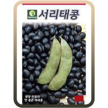 서리태콩씨앗 30g 콩씨앗 콩재배 영양만점 재래종 서리태콩씨, 1개