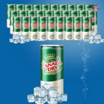 캐나다드라이 진저에일 상쾌한 탄산음료 250ml 30개, 진저에일 250ml 30개, 30개입