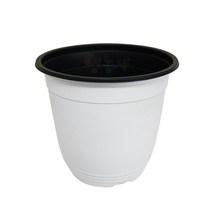이색화분 흰색 15호, 단품