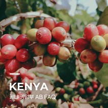 [생두] 케냐 키암부 AB FAQ 10kg
