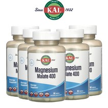 5개 칼 마그네슘 말레이트 400 90정