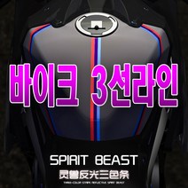 피트인 스피릿비스트 데칼 스티커 반사스티커 오토바이 BMW 데칼스티커, 1개, (선택1번)SBT이탈리아