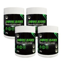 웰리즈 크레아틴 프리미엄 300g 모노하이드레이트 헬스보충제, 4개(8개월분) 1200g