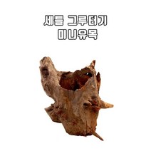 신바람 세틀 그루터기 미니유목(소) 랜덤 맹그로브 천연