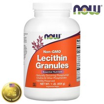 나우푸드 대두 레시틴 분말 가루 파우더 non GOM 1lb 454g, 1개, 기본