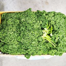야채24닷컴 파슬리 파세리 1kg, 1개