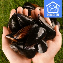 어부의집 국내산 손질 세척 다듬이홍합 탕 찜 홍합 3kg 5kg 10kg, 홍합 10kg, 1개