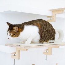 캣돌 - 냥터 고양이 책상 책장 선반 캣타워 해먹, 스텝형 소형(아이보리)