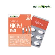 스트레스앤테아닌골드 테아닌 태아닌 긴장완화 스트레스