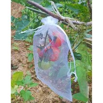 과수봉지 과일 봉지 방충 메쉬백 용과 포도 석류 보호, 가로 17x높이 23cm (100개), 1개