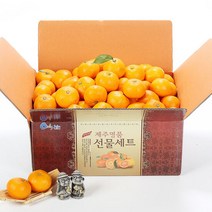 올탑농원 제주 노지감귤 실중량 9kg 로얄과, 단품