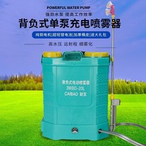 20L전동분무기 농약분무기 농약살포기 하우스방제기 병충해방제도구휴대용 전기 분무기 리튬, 20l 리튬 배터리 14a 이중 커버 핸들 스위치