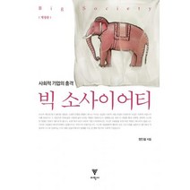 빅 소사이어티 : 사회적 기업의 충격 개정판