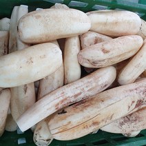 밀양 햇 연근 흙연근 세척연근 슬라이스연근 1kg 2kg