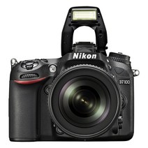 니콘 D7100 바디+18-55mm 기본렌즈+64GB 메모리 K, 단품