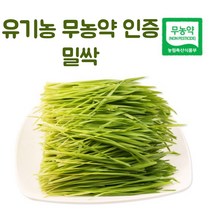 국산 국내산 무농약 밀싹 밀순 밀새싹 주스 녹즙 생즙 클렌즈 쥬스 새싹 야채즙 재료 600g 싹 순 밀순 어린잎 어린 새싹순 채소, 1개