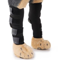 강아지 십자인대 보호대 탈구예방 보조기 S 요크셔테리 말티즈 반려묘 탁스훈트 치와와 무릅 비숑 슬개골 파피용 토이푸들 부목 애견 퍼그 지지대 개, 1개, 블랙