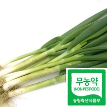 국산 친환경 대파 무농약 햇대파 급식 납품, 중량, 600g