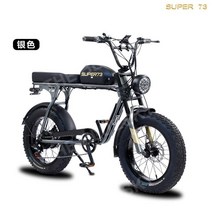 하이브리드자전거 전기자전거 오프로드 산악 자전거, 실버 오일 브레이크 48V1500W18AH