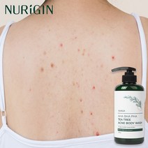 뉴리진 티트리10% 아하바하파하 바디워시 등드름 가드름 몸 여드름 개선 식약처 기능성 인증, 500g x 2개