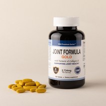 HNHUSA 미국 GMP FDA 조인트 포뮬라 골드 120정 1개월분 - 글루코사민 강황 콜라겐 MSM 콘드로이친 통증완화, 165g, 1병