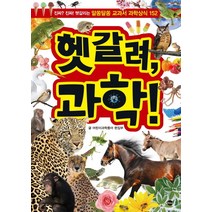 헷갈려 과학!:진짜 진짜 헷갈리는 알쏭달쏭 교과서 과학상식 152, 가나