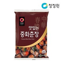 베스트식품 청정원 청정원맛있는중화춘장250g파우치 x10개, 단품/단품