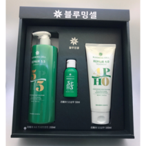 블루밍셀 탈모 정수리냄새 비타민 향좋은 약산성 샴푸 트리트먼트 세트