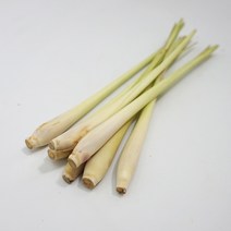 레몬그라스 100g 생 레몬그라스 Lemon grass 향신료, 1봉
