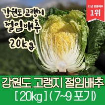 강원도 고랭지 절임배추 20kg, 09월 08일 (금요일)