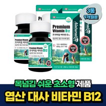 초소형 캐나다 비타민B12 산모 수유부 엽산대사 추천 9개월분 산후조리 VITAMIN 식약처인증 20대 30대 40대 여자 여성 임신전 임산부 임신초기
