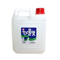 강남식품 강남물엿(이온)9kg, 1, 9kg