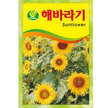 해바라기씨앗 약 18립, 해바라기