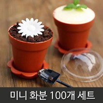 유치원 어린이집 체험학습 미니화분 100개 빨대:GUSWKD YEBE 빛을발하라 + 1030605803